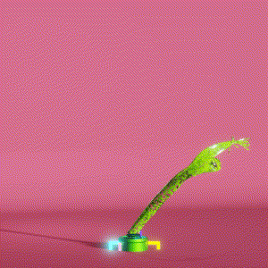 wacky_dude_tubes: 5588