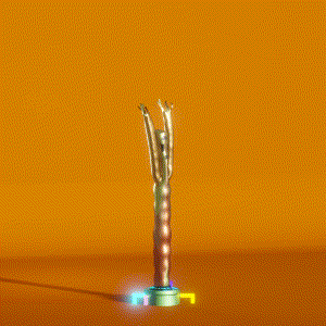 wacky_dude_tubes: 9535