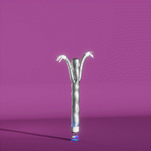 wacky_dude_tubes: 598