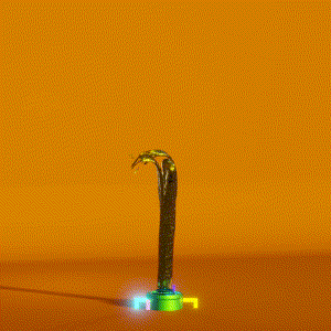 wacky_dude_tubes: 3058