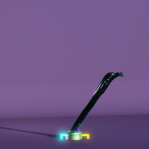 wacky_dude_tubes: 5028