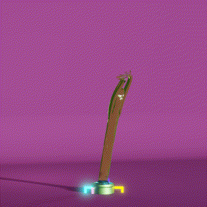 wacky_dude_tubes: 297