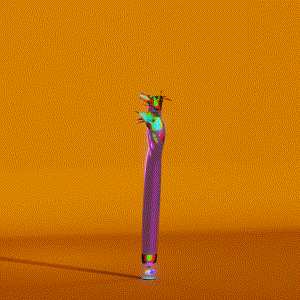 wacky_dude_tubes: 8732