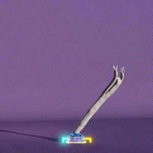 wacky_dude_tubes: 5949