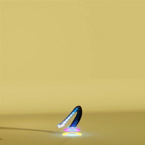 wacky_dude_tubes: 187