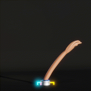 wacky_dude_tubes: 6014