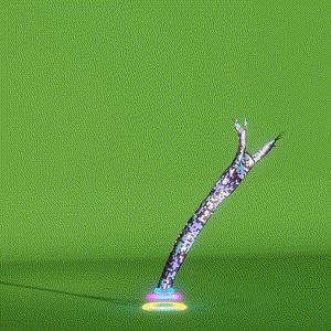 wacky_dude_tubes: 4177