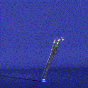 wacky_dude_tubes: 3100