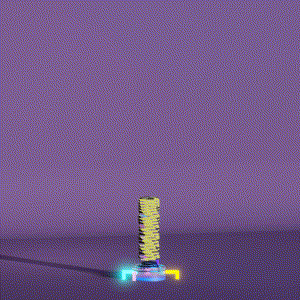 wacky_dude_tubes: 6731