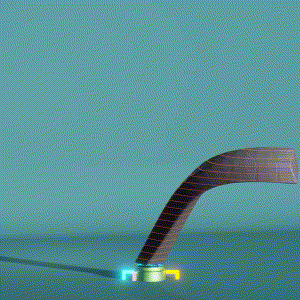 wacky_dude_tubes: 3703