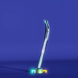 wacky_dude_tubes: 9869