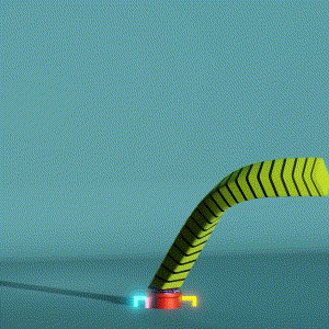wacky_dude_tubes: 114