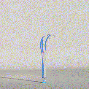 wacky_dude_tubes: 2518