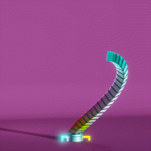 wacky_dude_tubes: 9527