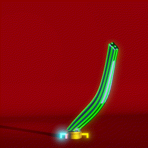 wacky_dude_tubes: 2940