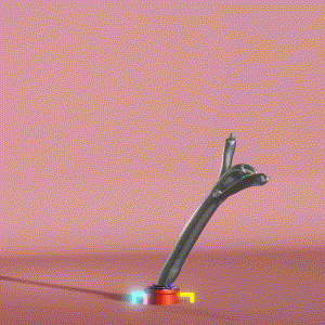 wacky_dude_tubes: 2798