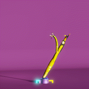wacky_dude_tubes: 9808