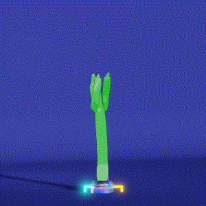 wacky_dude_tubes: 5466
