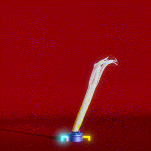 wacky_dude_tubes: 4311