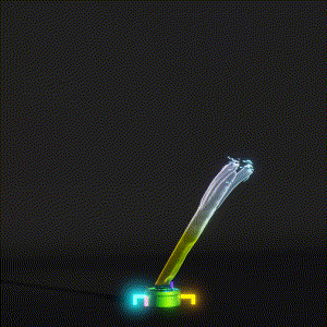 wacky_dude_tubes: 4244