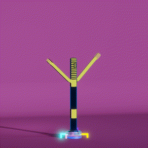 wacky_dude_tubes: 6672