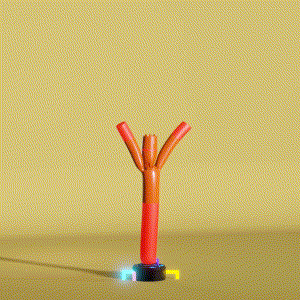 wacky_dude_tubes: 2007