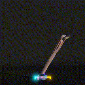 wacky_dude_tubes: 1700