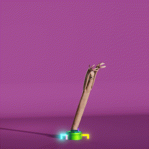 wacky_dude_tubes: 9836