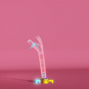 wacky_dude_tubes: 4937