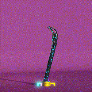wacky_dude_tubes: 5356