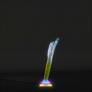 wacky_dude_tubes: 7922