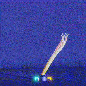 wacky_dude_tubes: 6341
