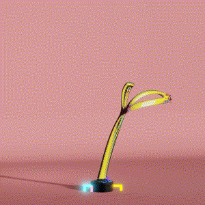 wacky_dude_tubes: 7500