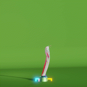 wacky_dude_tubes: 874
