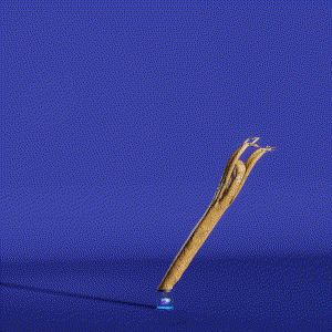 wacky_dude_tubes: 1004