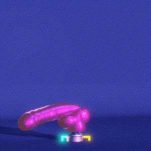 wacky_dude_tubes: 573