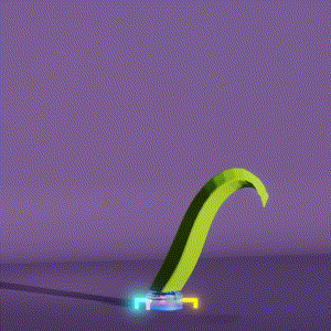 wacky_dude_tubes: 1574