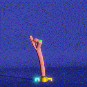 wacky_dude_tubes: 2575