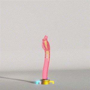 wacky_dude_tubes: 8523