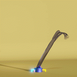 wacky_dude_tubes: 6211