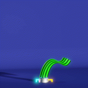 wacky_dude_tubes: 2571