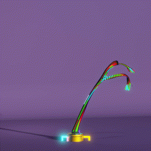 wacky_dude_tubes: 9063