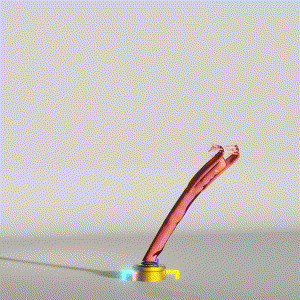wacky_dude_tubes: 7161