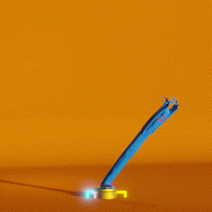 wacky_dude_tubes: 2039