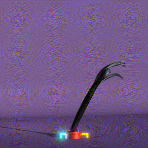 wacky_dude_tubes: 8224