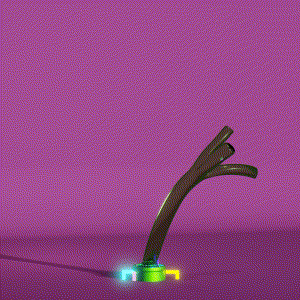 wacky_dude_tubes: 3435