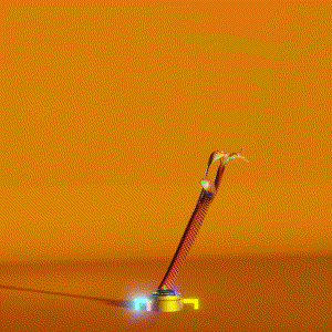 wacky_dude_tubes: 8212