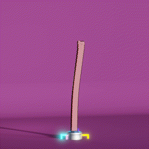 wacky_dude_tubes: 5429