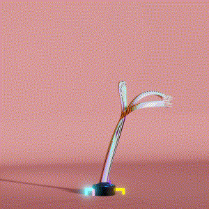 wacky_dude_tubes: 3427