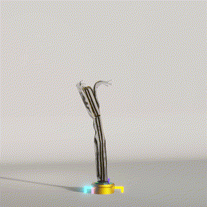 wacky_dude_tubes: 6432